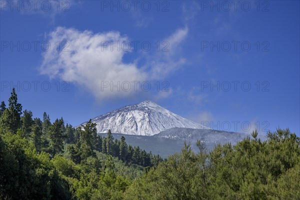 Snow-capped Teide