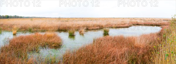 Panorama Stapeler Moor