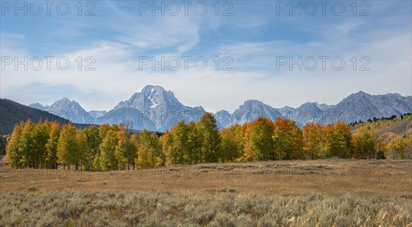 Mountain panorama of the Teton Range