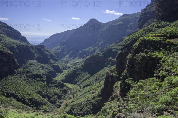 Barranco Guarimar with the small settlement of the same name and the spectacular path