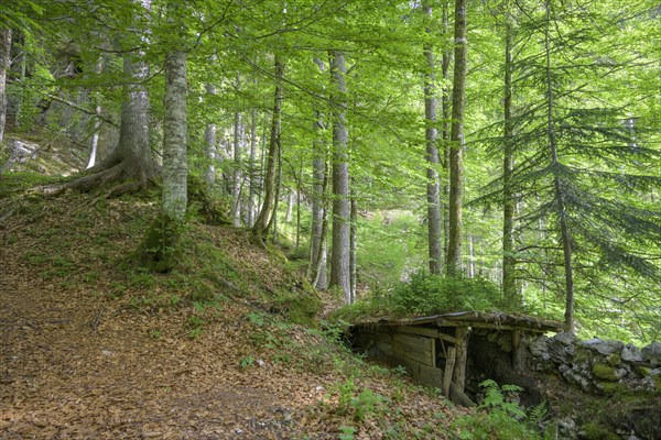 Simple shelter near a trench Themed trail Grande Guerra on the battles of World War 1