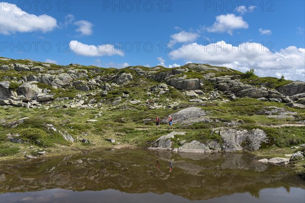 Hikers on the panoramic hiking trail at the Aletsch Glacier World Heritage Site