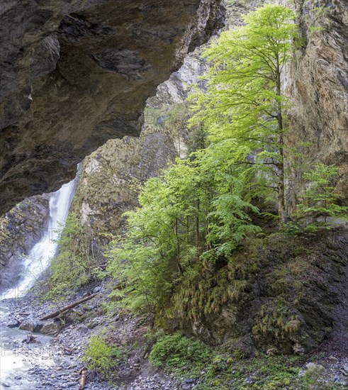 Waterfall in the Liechtensteinklamm