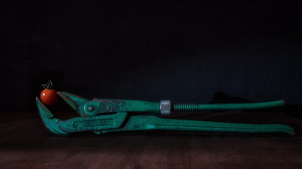 Still Life with Old Green Pipe Tongs and Cherry Tomato