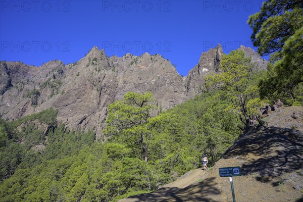 Mirador del Lomo de Tagasaste