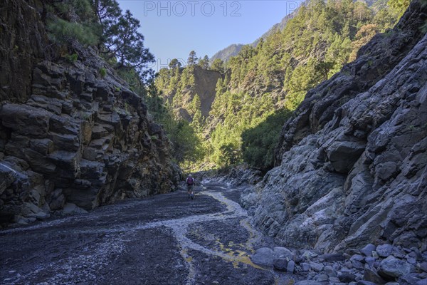 The hiking trail leads through the Barranco de las Angustias