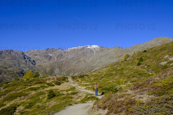 Hikers on the Waldburnnenweg