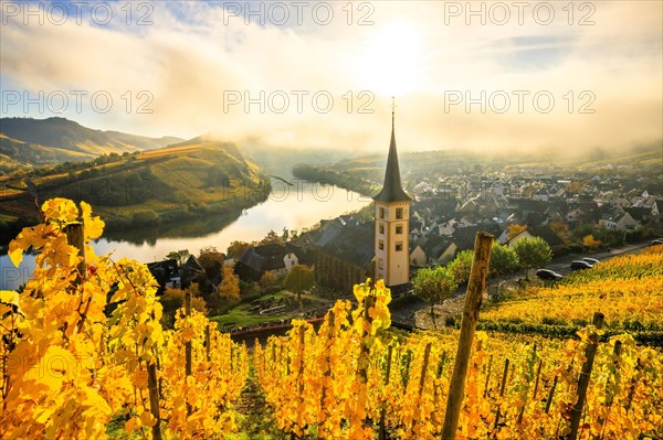 The village of Bremm on the Moselle