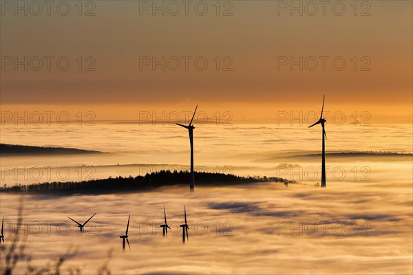 Forest and wind turbines rising from cloud cover