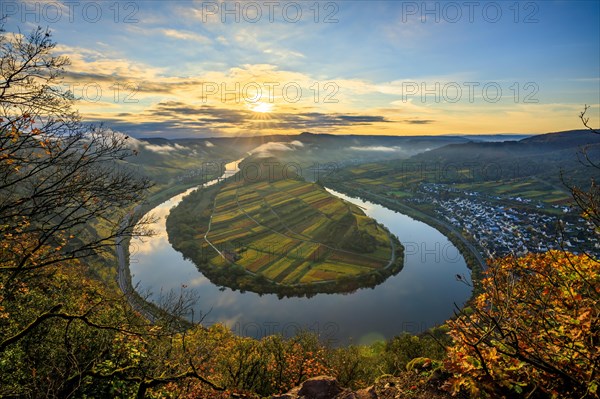 View over the Moselle valley