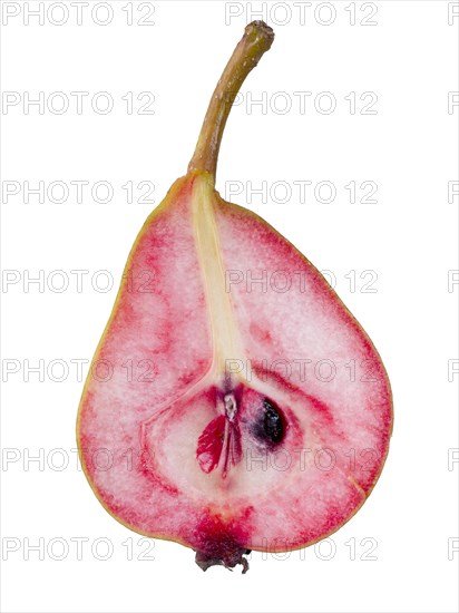 Pear variety Westphalian Blood Pear