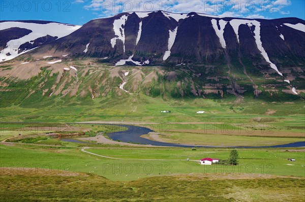 Vast pastures and rugged snow-capped mountains