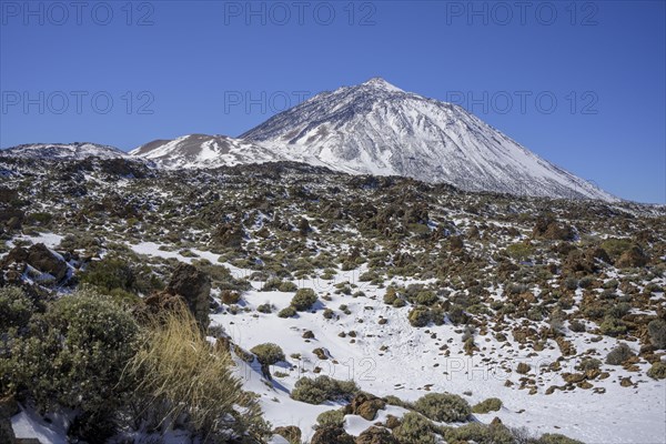View of the snow-covered Teide peak
