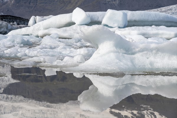 Fjallsarlon ice lagoon