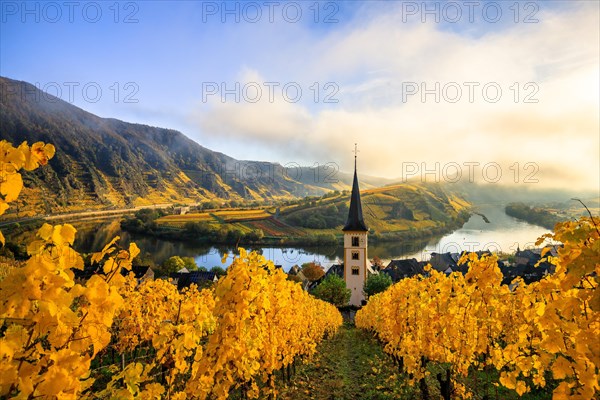 The village of Bremm on the Moselle