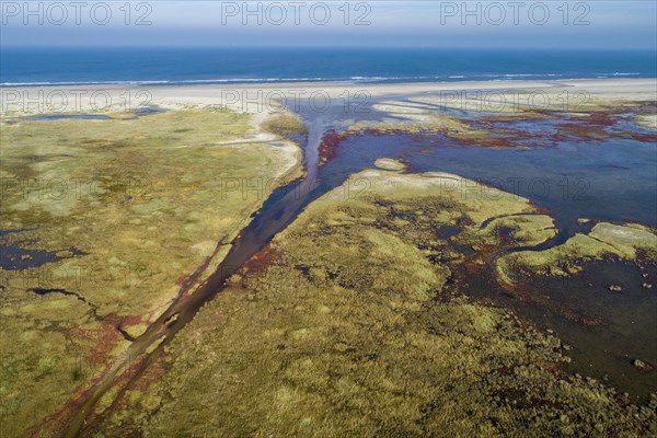 Salt marshes on the North Sea