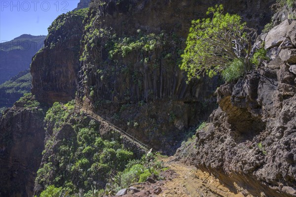 Spectacular trail in Barranco Guarimar