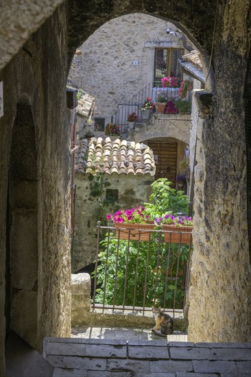 Archway and cat in the old town of Santo Stefano di Sessanio