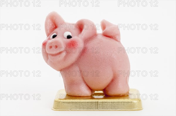 Pink marzipan pig