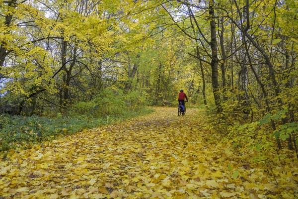 Cyclist on autumnal cycle path