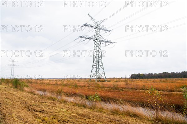 Power line runs through moor