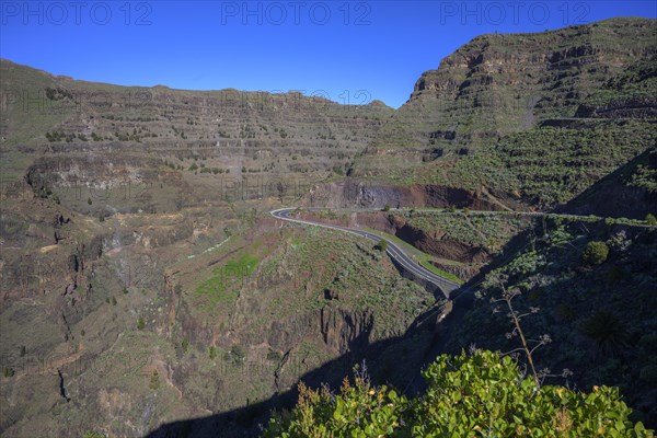 View from the Mirador de la Curva del Queso into the Barranco de Arure