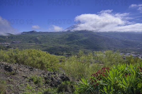 Snow-capped Teide