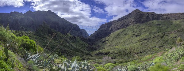 View into the Barranco de Masca