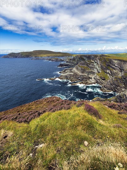 Rugged cliffs overlooking the Atlantic Ocean