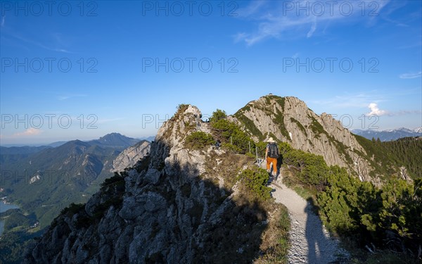 Hiker on a hiking trail between mountain pines