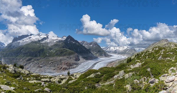 Landscape with the Aletsch Glacier World Heritage Site