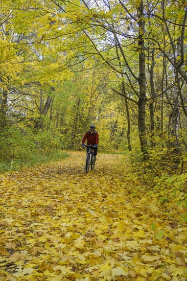 Cyclist on autumnal cycle path