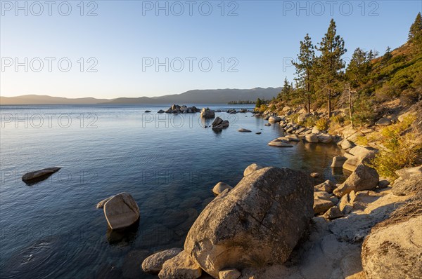 Round stones in the water