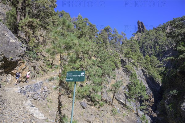 Barranco del Almendro Amargo