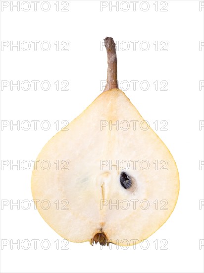 Pear variety Kirchensaller Mostbirne