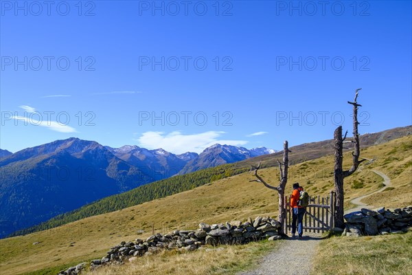 Hikers on the Waldburnnenweg