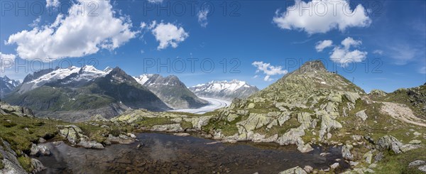 Small mountain lake with Bettmerhorn and the Aletsch Glacier World Heritage Site