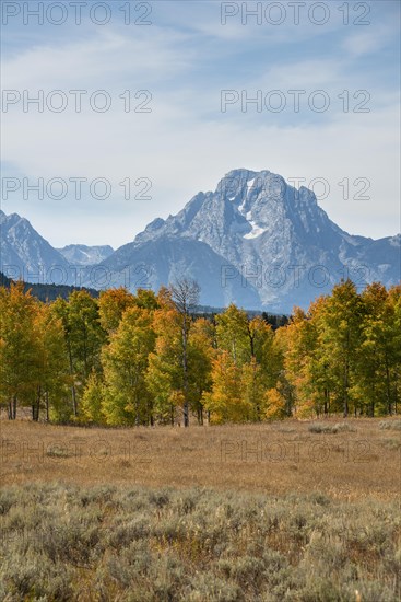 Mountain panorama of the Teton Range