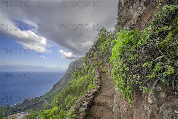 Section of path on the hike up to Mirador de Abrante