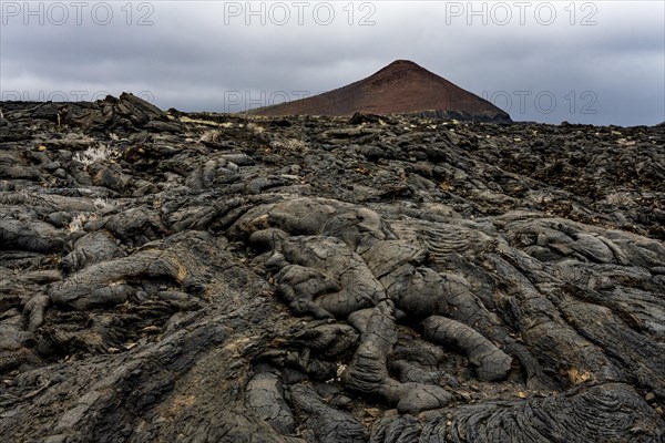 pahoehoe at Montana de Prim