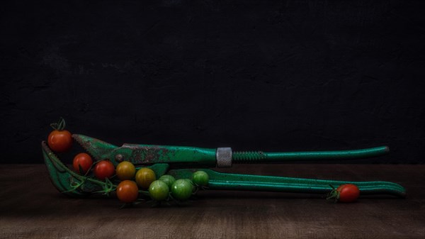 Still Life with Old Green Pipe Tongs and Cherry Tomatoes