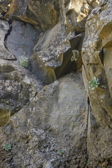 Rock carvings of El Cementerio