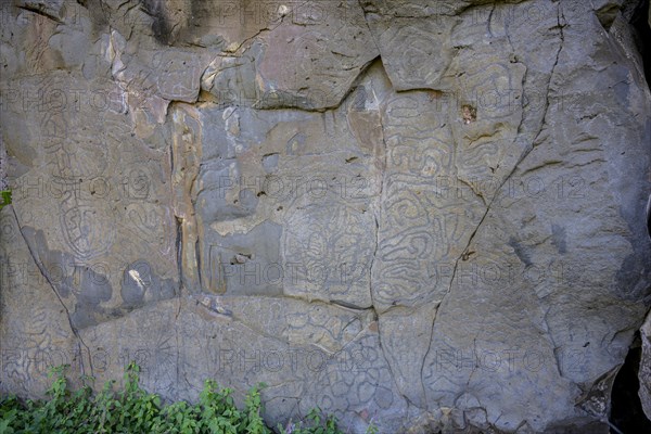 Rock engravings of La Fajana