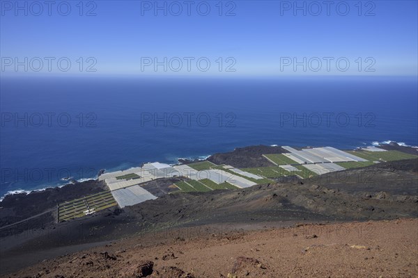 View of banana plantations from Teneguia volcano