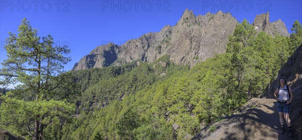 Mirador del Lomo de Tagasaste