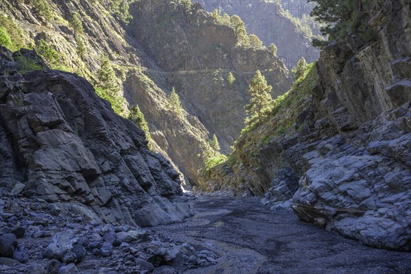 The hiking trail leads through the Barranco de las Angustias