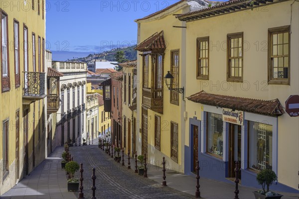 Houses in the old town