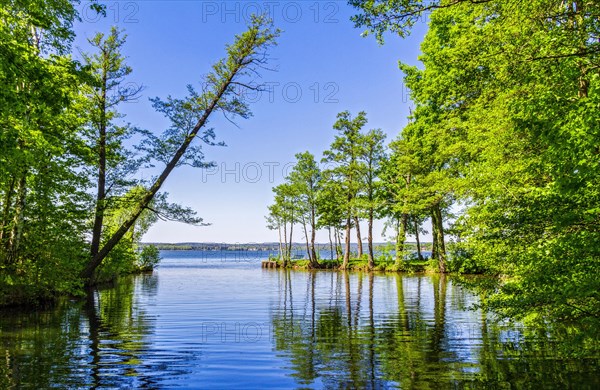 Landscape at Scharmuetzelsee