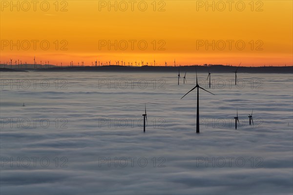 Wind turbines rising from cloud cover