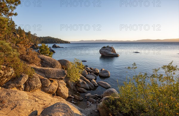 Bonsai Rock